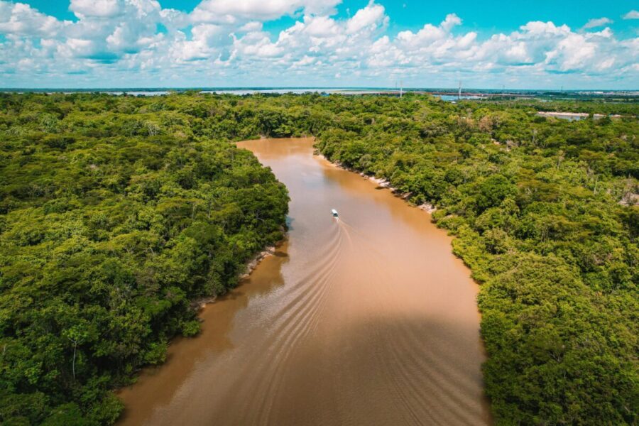 Prarastos Atlantidos ir Amazonės civilizacijos: sužinokite, ką atskleidžia nauji archeologiniai tyrimai