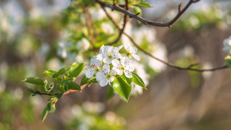 Ar klimatas artėja prie naujų rekordų? „Copernicus“ skelbia apie neįprastai šiltą vasarį