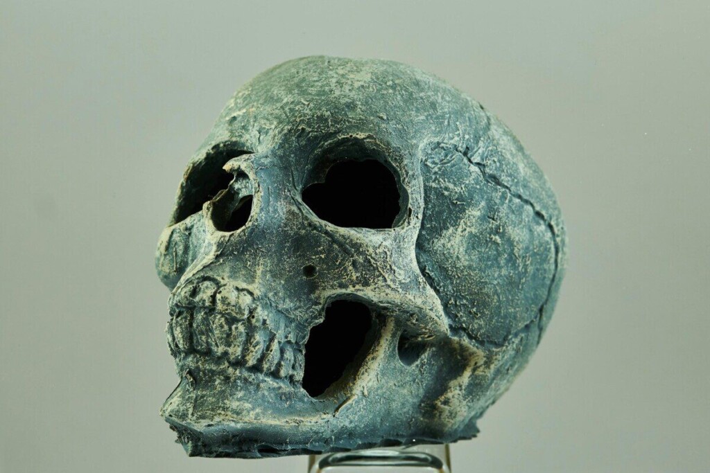 Detailed view of an ancient skull with rugged texture, highlighting eerie features.