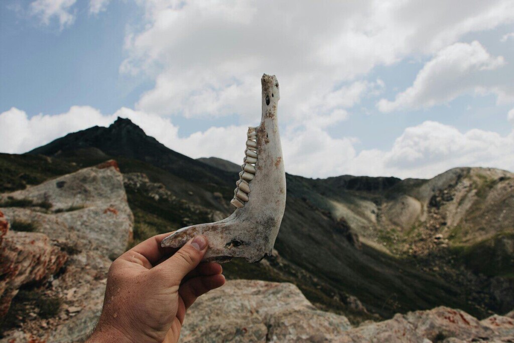 A person holding an animal jawbone in the mountains under a cloudy sky.