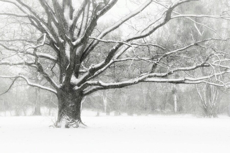 Mirtina audra Goretti siautė visoje Europoje: žuvo žmonės, be elektros liko šimtai tūkstančių