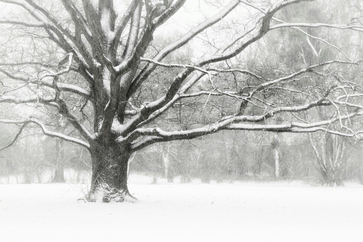 Mirtina audra Goretti siautė visoje Europoje: žuvo žmonės, be elektros liko šimtai tūkstančių