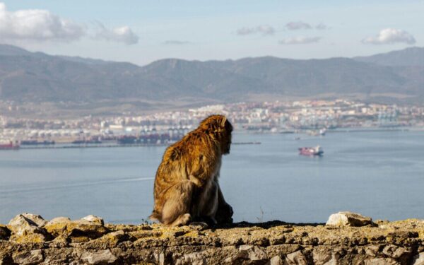 Po ilgų derybų priimtas sprendimas: laisvas judėjimas tarp Gibraltaro ir Ispanijos netrukus taps realybe