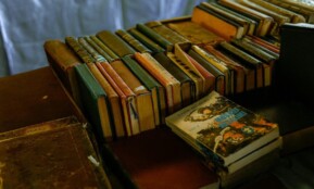 A collection of vintage hardcover and paperback books organized on a wooden table.