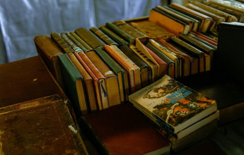 A collection of vintage hardcover and paperback books organized on a wooden table.