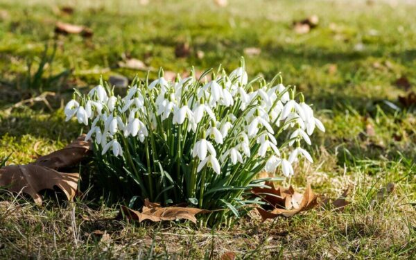 Perkūnija balandžio pradžioje? Sinoptikai įspėja apie netikėtus reiškinius Lietuvoje