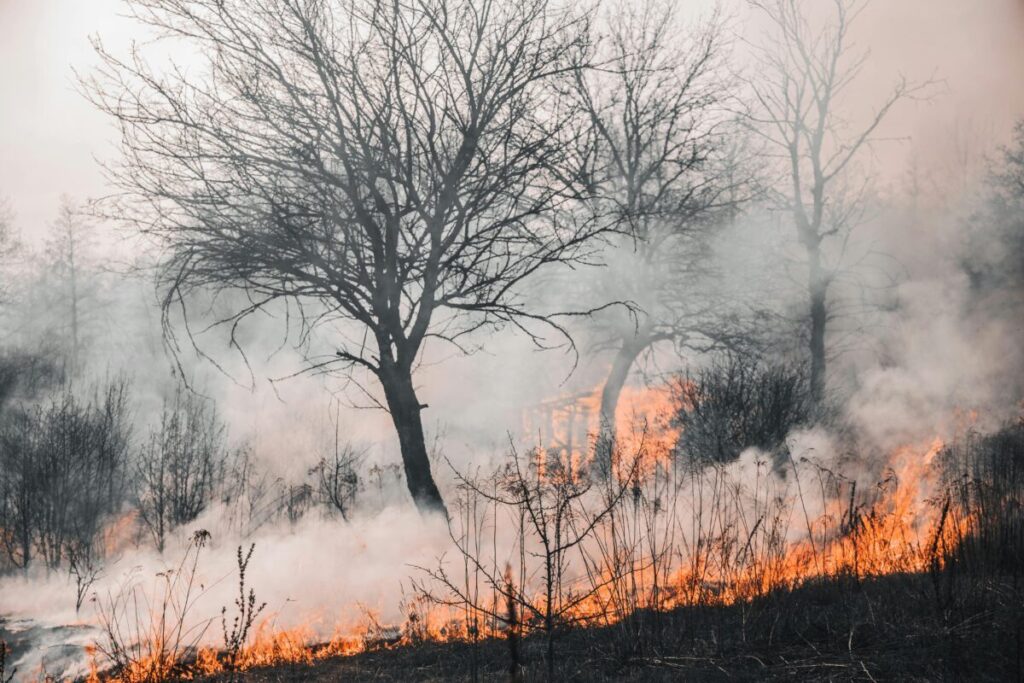 A devastating wildfire engulfing trees and landscape in Kyiv Oblast, creating a smoke-filled, haunting environment.