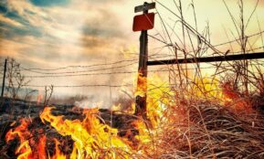 Dramatic image of a grass fire blazing near a barbed wire fence in a rural Kansas field.
