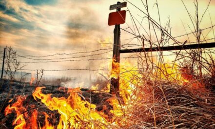 Dramatic image of a grass fire blazing near a barbed wire fence in a rural Kansas field.