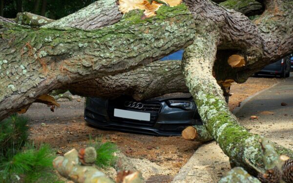 Audra „Goreti” šluoja Europą: raudonas pavojus, chaosas ir evakuacijos