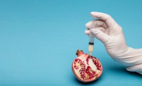 A thought-provoking still life image of a pomegranate and syringe, symbolizing fertility and artificial insemination.