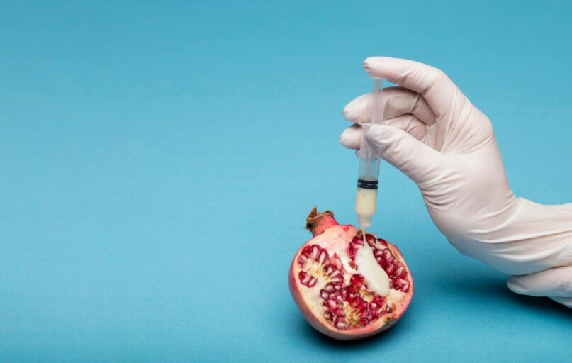 A thought-provoking still life image of a pomegranate and syringe, symbolizing fertility and artificial insemination.
