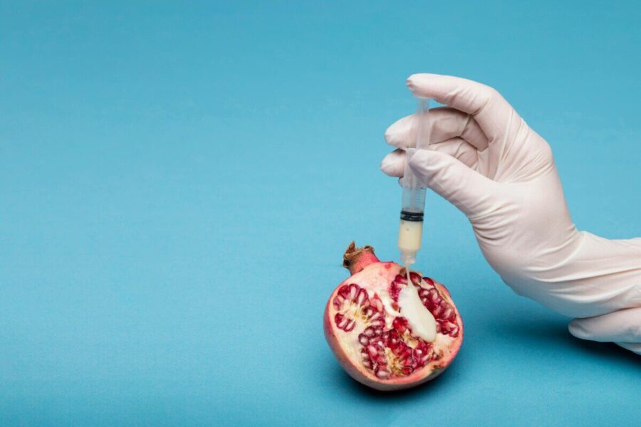 A thought-provoking still life image of a pomegranate and syringe, symbolizing fertility and artificial insemination.