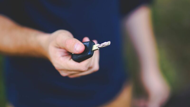 831 euras per mėnesį už automobilį: ar tai realybė visiems, ar tik valdžios išrinktiesiems?