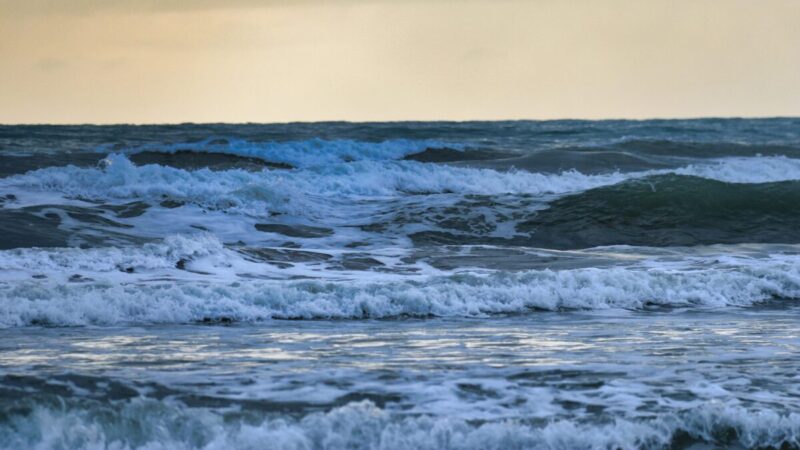 Milžiniškos vandenyno bangos: sužinokite, kodėl jos atsiranda ir kodėl sunku jas prognozuoti