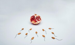 A conceptual image of almond shapes resembling sperm surrounding a pomegranate on a white surface.