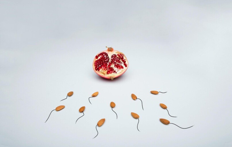 A conceptual image of almond shapes resembling sperm surrounding a pomegranate on a white surface.