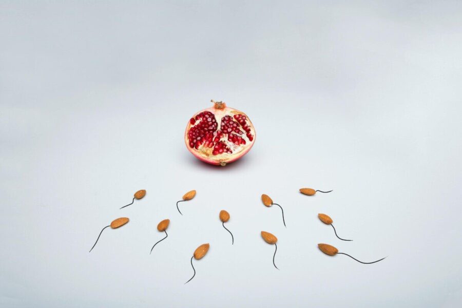 A conceptual image of almond shapes resembling sperm surrounding a pomegranate on a white surface.