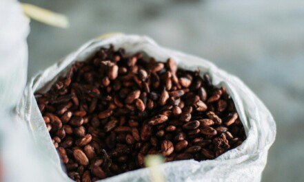 Close-up of aromatic cocoa beans in a sack, sourced from Indonesia.