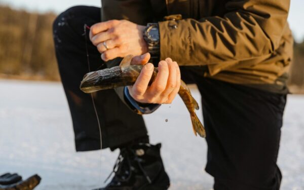 Pamirškite lašišas ir karpius: ši lietuviška žuvis laikoma sveikiausia, tačiau daugelis ją vis dar nuvertina