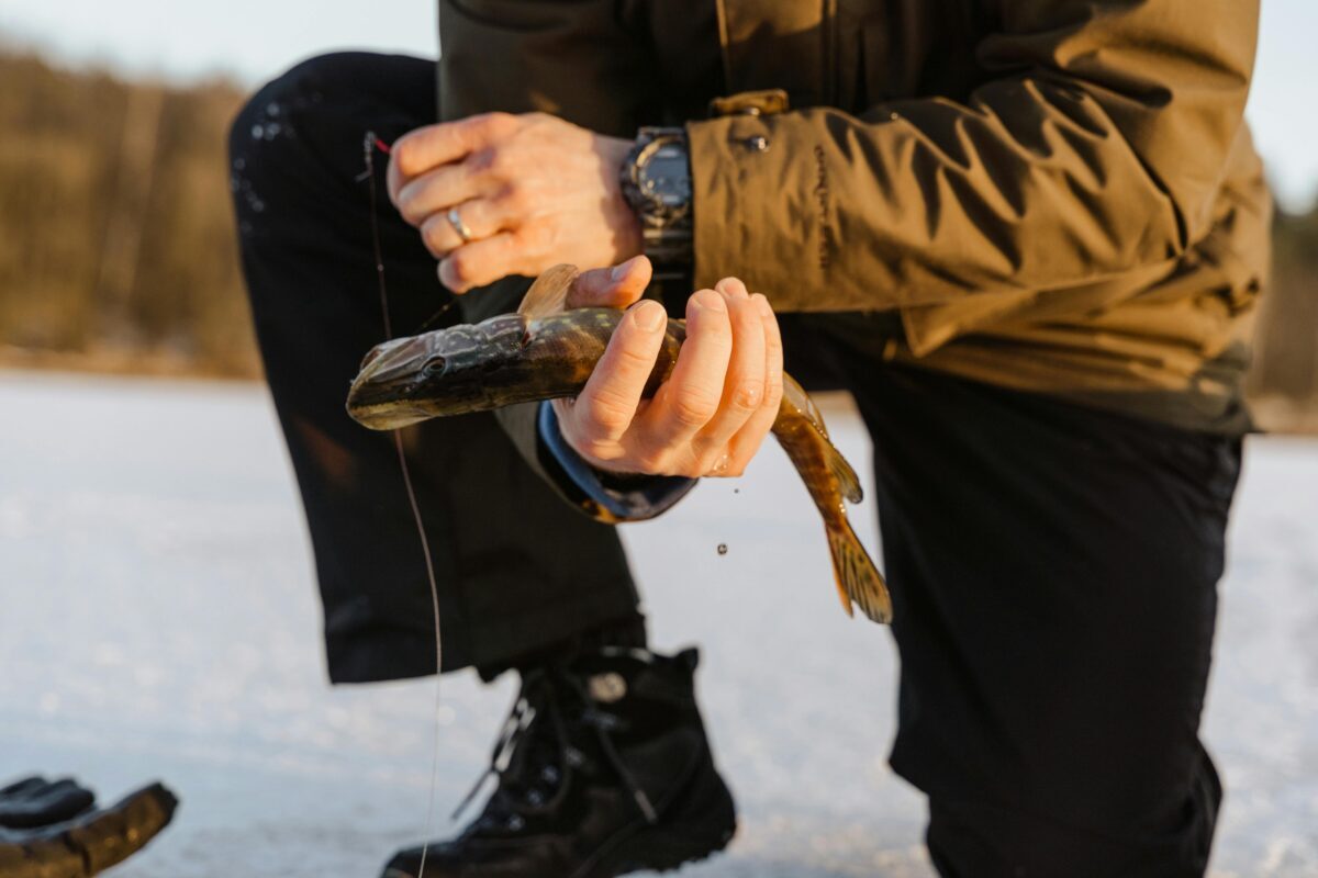 Pamirškite lašišas ir karpius: ši lietuviška žuvis laikoma sveikiausia, tačiau daugelis ją vis dar nuvertina