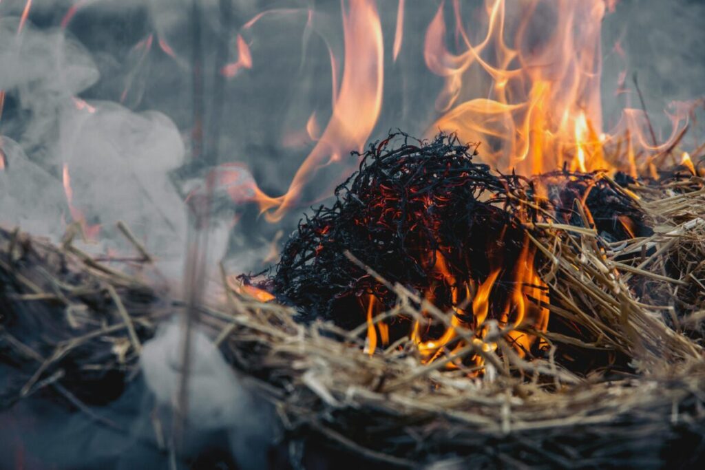 Intense close-up of a hay fire with visible flames and smoke rising in the outdoors.