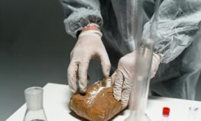 Lab worker analyzes powdered substance in a laboratory setting using safety gear.