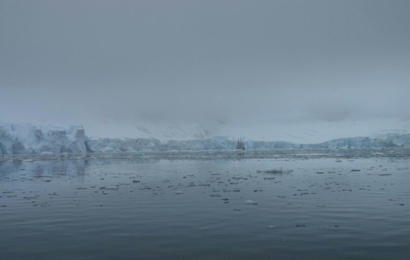 A tranquil view of the Antarctic ocean with icebergs and a distant glacier under a misty sky.