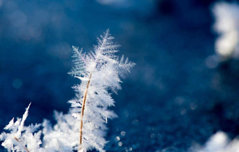 Close-up of intricate ice crystal formations on a cold winter day outdoors.