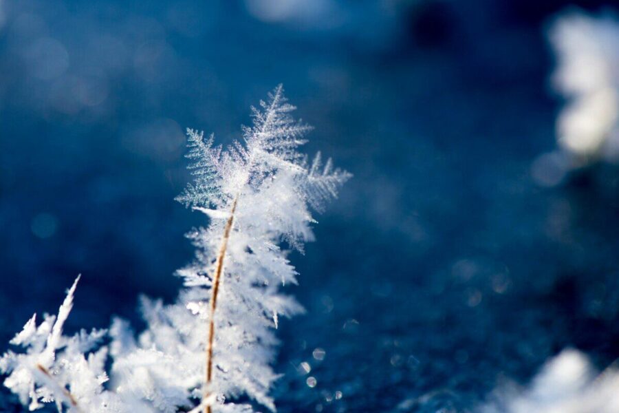 Close-up of intricate ice crystal formations on a cold winter day outdoors.