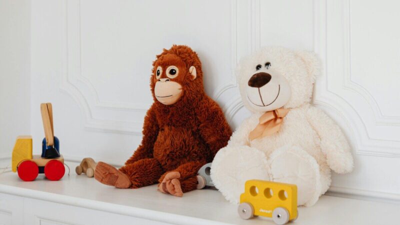 Kančios simboliu tapęs beždžioniukas Punchas: gynėjai ragina permąstyti zoologijos sodų veiklą