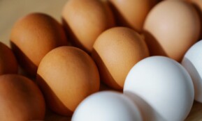 Close-up of brown and white eggs arranged on a surface, showcasing their texture and color.