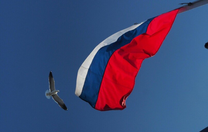 A Russian flag waving alongside a seagull in flight with a clear blue sky backdrop.