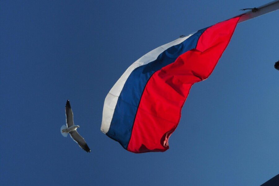 A Russian flag waving alongside a seagull in flight with a clear blue sky backdrop.