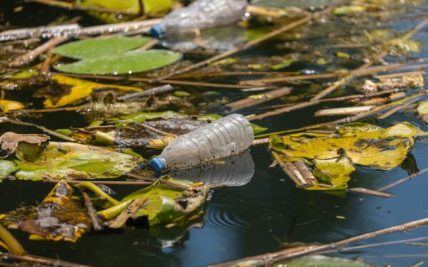 Tylioji klimato krizė jau čia: mokslininkai įspėja dėl vandens pokyčių, apie kuriuos beveik niekas nekalba