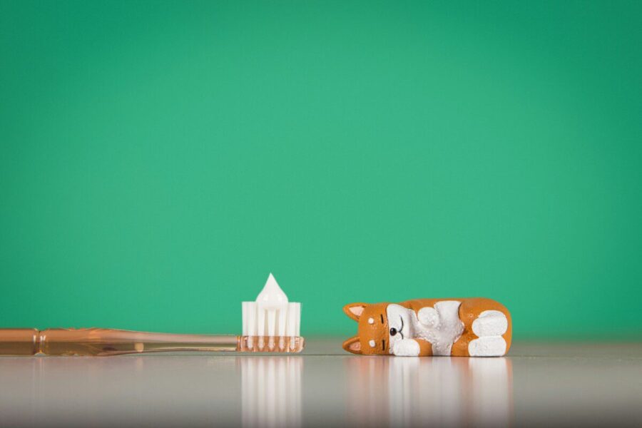 Šios dantų pastos gali daryti daugiau žalos nei naudos: odontologė perspėja neapsigauti