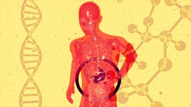 Medikai skambina pavojaus varpais: ši liga naikina kepenis, o simptomai pasireiškia per vėlai