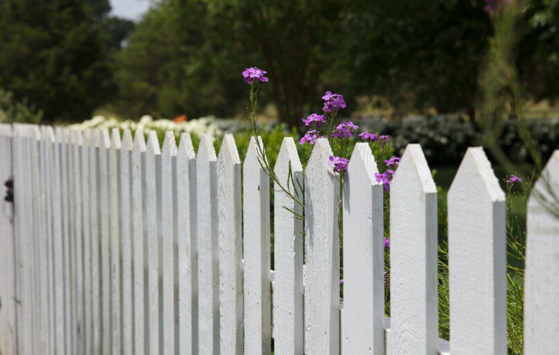 pink petaled flowers blooms near fence