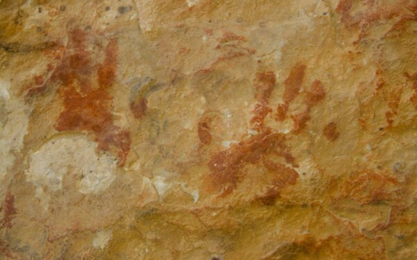 Naujas tyrimas atskleidžia genetinę istoriją: atkūrė neandertaliečių demografinę raidą