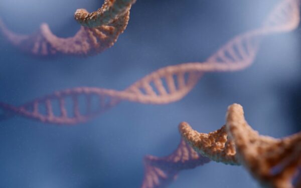 DNR tyrimai pateikė naujų atsakymų: mokslininkai iššifravo 5500 metų senumo giminystės ryšius