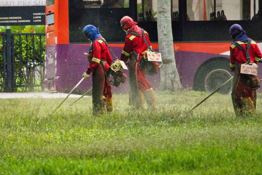 Mokslininkai sukrėsti: dažnai naudojami pesticidai siejami su neurologinėm ligom
