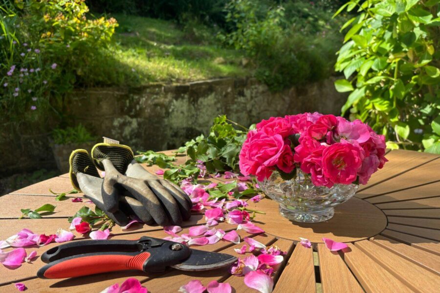 Dekoratyvinių krūmų genėjimas pavasarį: paprasti patarimai, padedantys išlaikyti sodą gražų ir žydintį