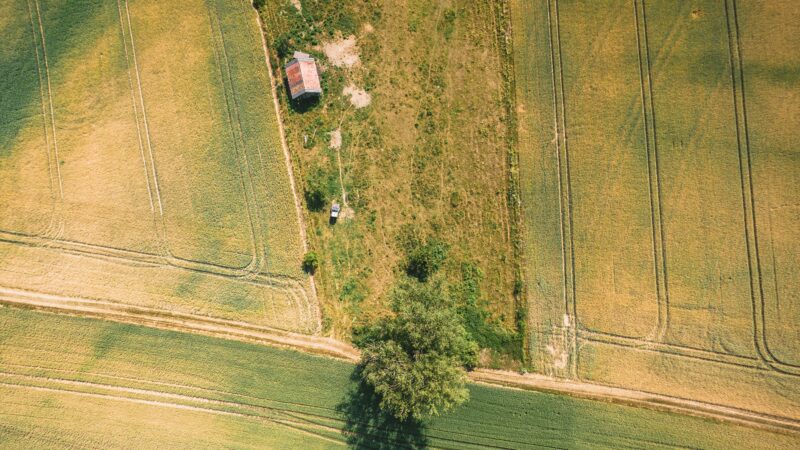 Dauguma lietuvių nežino, kaip iš tikrųjų gauti leidimą naudoti valstybinę žemę