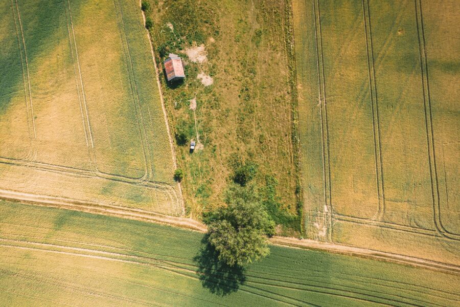 Dauguma lietuvių nežino, kaip iš tikrųjų gauti leidimą naudoti valstybinę žemę
