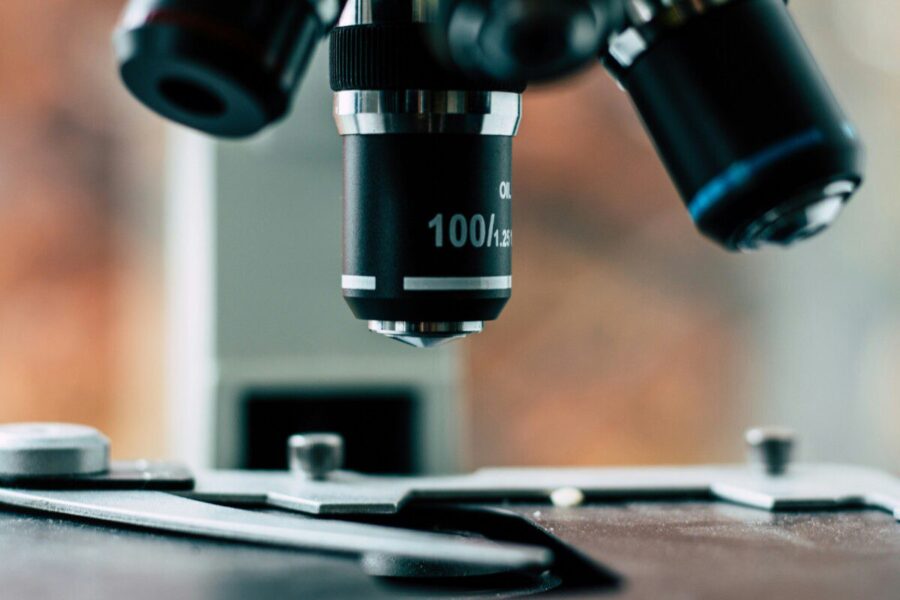 Japonijos mokslininkai laboratorijoje užaugino veikiančias žmogaus smegenų dalis: ką tai reiškia medicinai