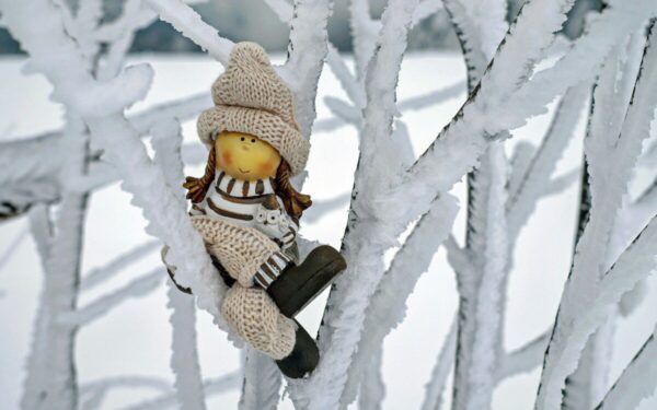 „Sodra“ siunčia žinią gyventojams: gali priklausyti šimtai eurų, tai privalu žinoti kiekvienam