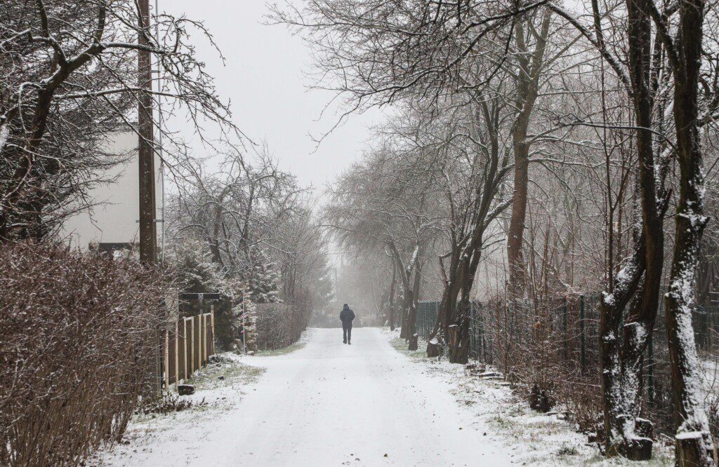 Žiemos akcentai. Dainiaus Labučio (ELTA) nuotr.