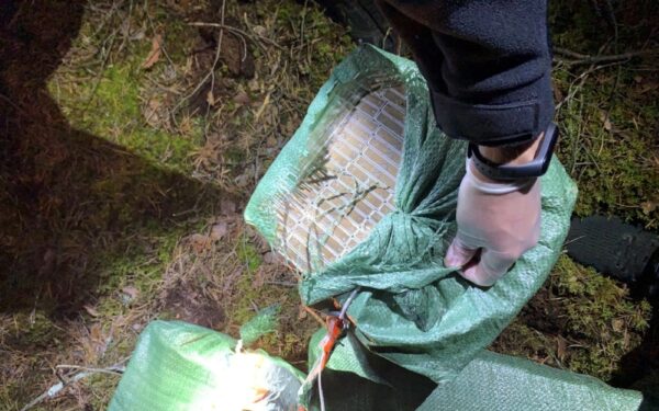 Kontrabandininkai keičia taktiką: į Lietuvą cigaretes skraidina dvigubais balionais