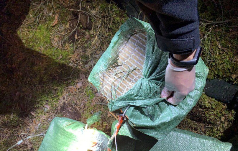 Kontrabandinės cigaretės. VSAT nuotr.