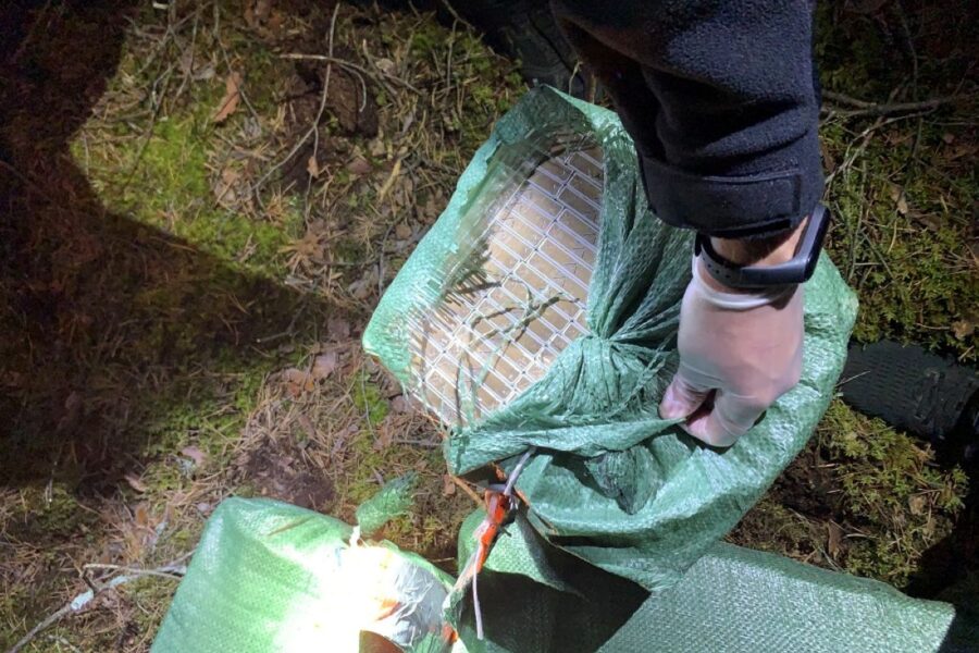 Kontrabandinės cigaretės. VSAT nuotr.